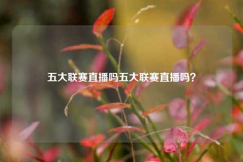 五大联赛直播吗五大联赛直播吗？
