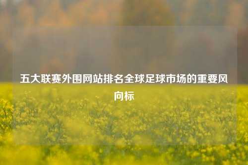 五大联赛外围网站排名全球足球市场的重要风向标