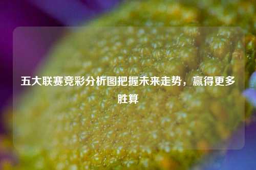 五大联赛竞彩分析图把握未来走势，赢得更多胜算