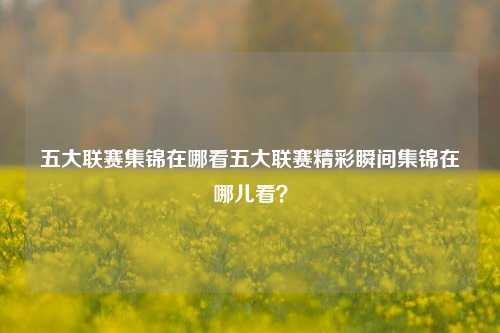 五大联赛集锦在哪看五大联赛精彩瞬间集锦在哪儿看？