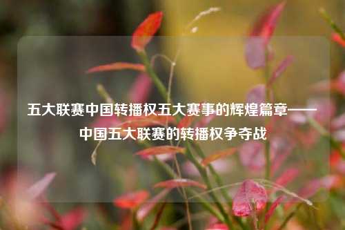 五大联赛中国转播权五大赛事的辉煌篇章——中国五大联赛的转播权争夺战