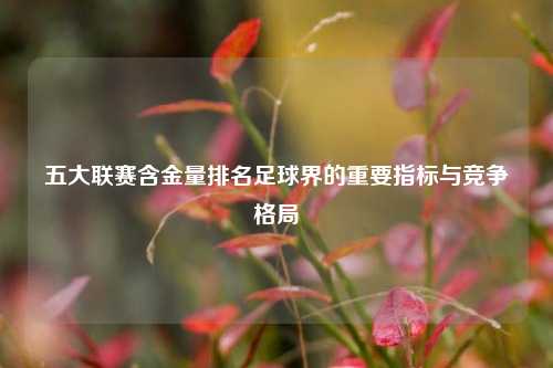 五大联赛含金量排名足球界的重要指标与竞争格局