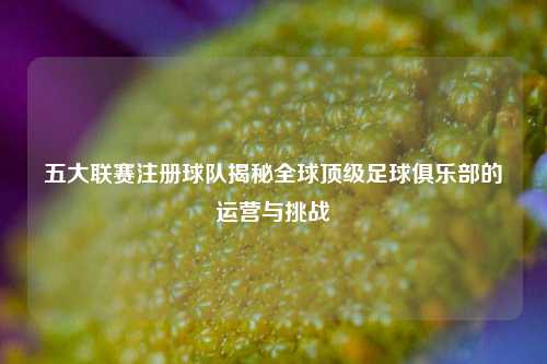 五大联赛注册球队揭秘全球顶级足球俱乐部的运营与挑战
