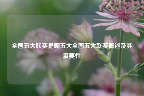 全国五大联赛是哪五大全国五大联赛概述及其重要性