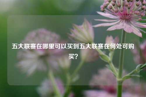 五大联赛在哪里可以买到五大联赛在何处可购买？
