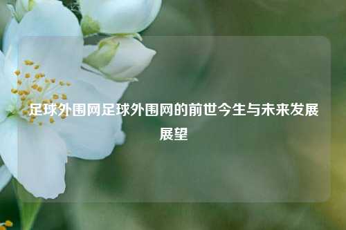 足球外围网足球外围网的前世今生与未来发展展望