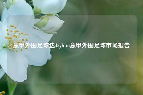 意甲外围足球达45yb in意甲外围足球市场报告