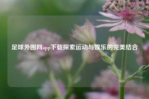足球外围网app下载探索运动与娱乐的完美结合