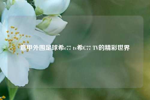 意甲外围足球希c77 tv希C77 TV的精彩世界