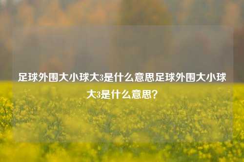足球外围大小球大3是什么意思足球外围大小球大3是什么意思？