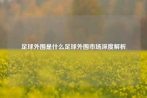 足球外围是什么足球外围市场深度解析