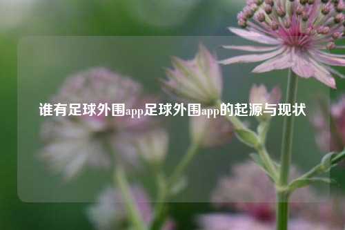 谁有足球外围app足球外围app的起源与现状