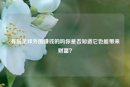 有玩足球外围赚钱的吗你是否知道它也能带来财富？