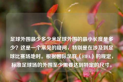 足球外围最少多少米足球外围的最小长度是多少？这是一个常见的疑问，特别是在涉及到足球比赛场地时。根据国际足联（FIFA）的规定，标准足球场的外围至少需要达到特定的尺寸。