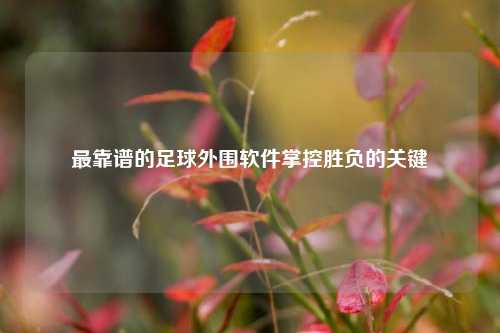 最靠谱的足球外围软件掌控胜负的关键