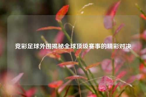 竞彩足球外围揭秘全球顶级赛事的精彩对决